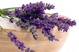 Նարդոս - Lаванда - Lavender