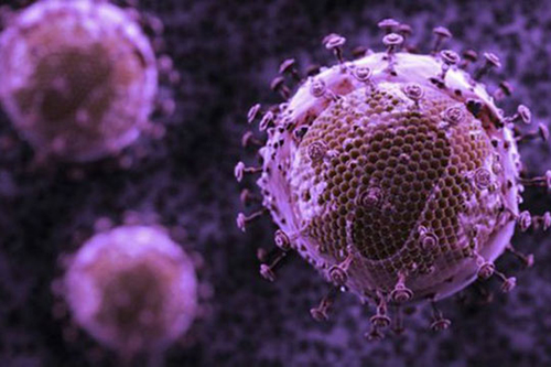 Գիտնականները կարողացել են «կտրել» ՄԻԱՎ-ի գեները կենդանի օրգանիզմների ԴՆԹ-ից. 1in.am