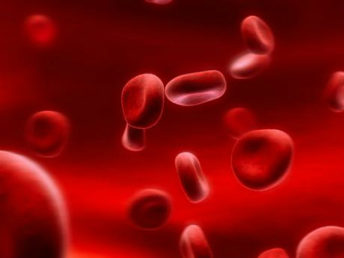 Стволовые клетки крови способны определять возбудителя инфекции и приспосабливать к нему свою функцию