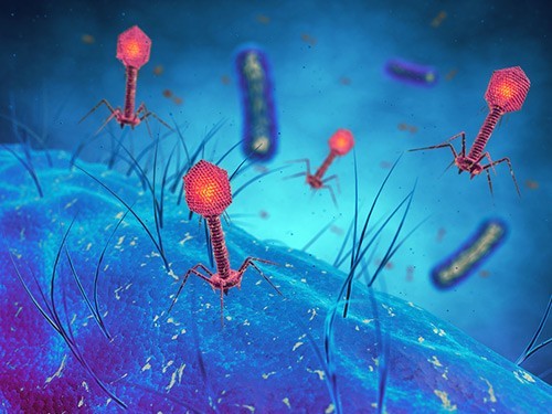 Ученые рассказали, как бактерии становятся устойчивыми к антибиотикам