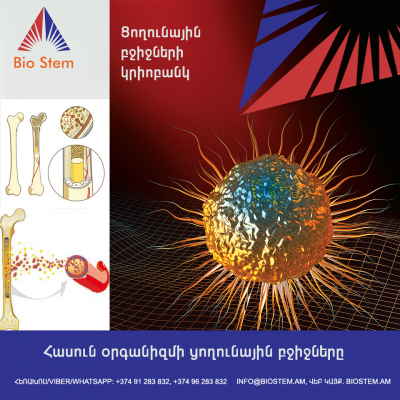 Հասուն օրգանիզմի ցողունային բջիջները. biostem.am