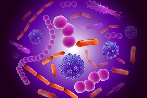 Кишечные бактерии могут стать ключом к лечению язвенного колита