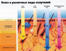 УФ-излучение ослабляет барьерную функцию человеческой кожи 