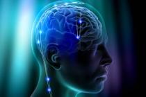 Флуоресцентные обезьяны спасут человечество от дегенеративных неврологических заболеваний