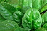 Специалисты составили список продуктов, которые подарят здоровую кожу