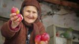 Этот фрукт сократит риск ранней смерти на 35%