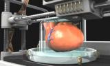 Немецкие ученые продвинулись на пути создания органов с помощью 3D-печати