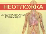 Массаж сердца и искусственное дыхание: как реанимировать человека