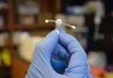 Имплант может защитить от ВИЧ на год
