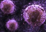 Вирусологи узнали, где в теле скрывается ВИЧ