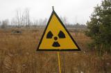 Грибок из Чернобыля защитит людей от радиации