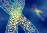 Как радиация влияет на ДНК, и чем занимаются молекулярные генетики