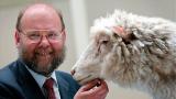 Умер Иэн Уилмут, создатель клонированной овцы Долли. Почему его открытие — одно из важнейших в ХХ веке