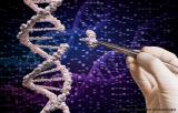 Великобритания первой в мире одобрила генную терапию на основе CRISPR