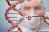 Метод генной терапии CRISPR в лечении ангионевротического отека