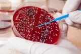 Лечебные мутации. Прорыв в лечении рака крови