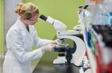 Nature: особые иммунные клетки могут физически укреплять кожу
