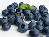 Черника замедляет снижение умственных функций после 60 лет