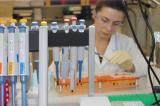 Израильские ученые нашли способ ''переключить'' иммунитет на борьбу с раком