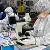 Ферменты вирусов укрепляют здоровье