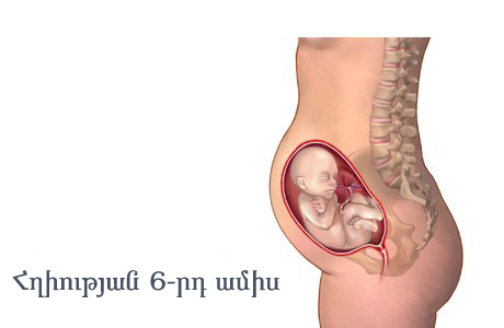 Հղիության 6-րդ ամիս