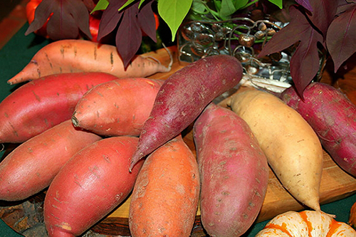 Сладкая Картошка Название Овоща Фото