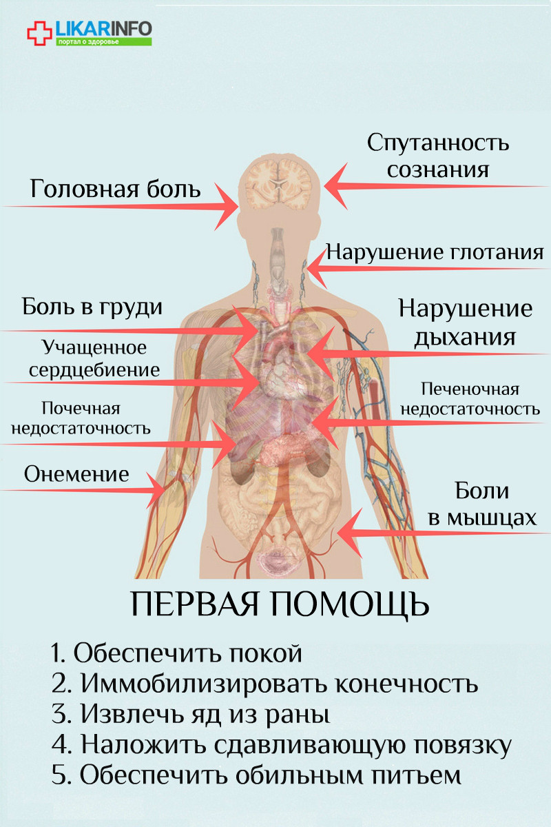 Кружится голова что делать. Кружится голова и тошнит. Головокружение, тошнота, потеря сознания первая помощь. Тошнота и потеря сознания причины. Тошнота после обморока.