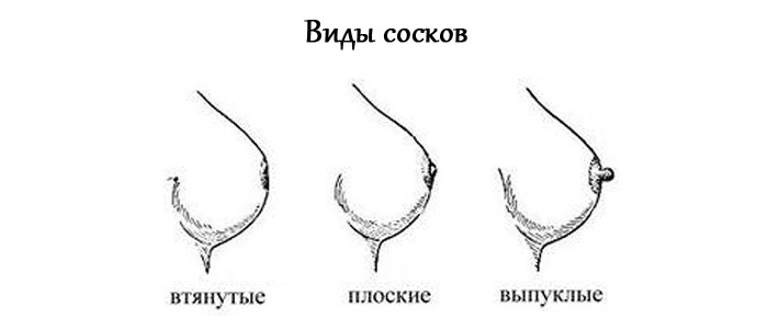 6 фактов о сосках женской груди