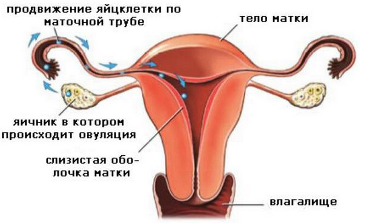 Последствия анального секса