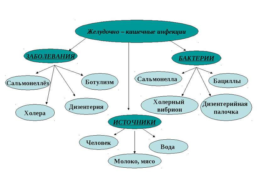 Холера ботулизм. Кластер профилактика инфекционных заболеваний. Кластер на тему инфекционные заболевания. Кишечные инфекции схема. Профилактика желудочно-кишечных инфекций.